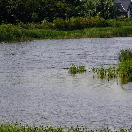 6 Person In Hemmet-by Traum Holiday home *